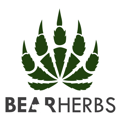 Bear Herbs 500mg Gummies - Image 4