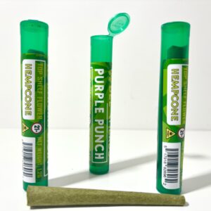 Bear Herbs Hemp Cone Preroll