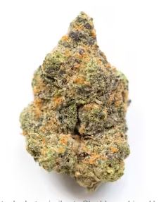 G-13 (Mids Indica) - Image 2