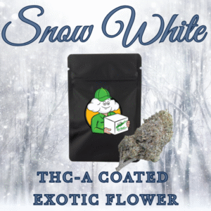 Snow White (Exotic Hybrid)