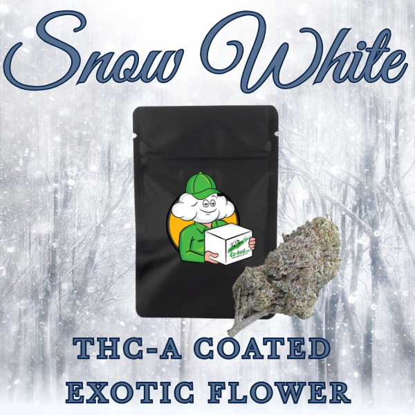 Snow White (Exotic Hybrid)