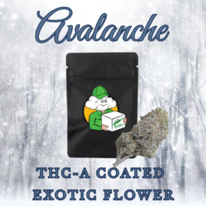 Avalanche (Exotic Hybrid)