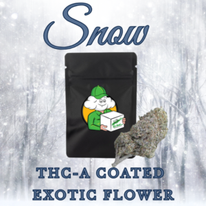 Snow (Exotic Hybrid)